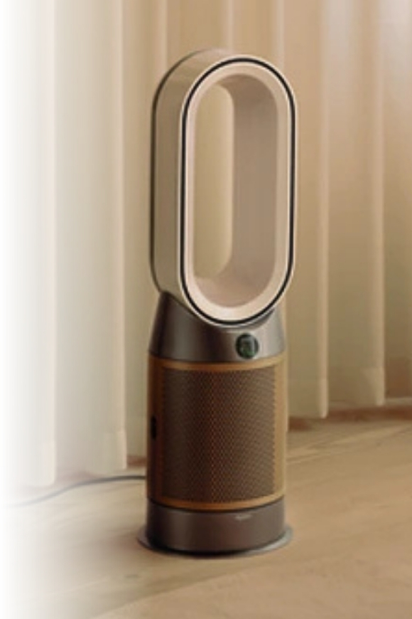 Dyson Hot+Cool™ AM09 Desktop